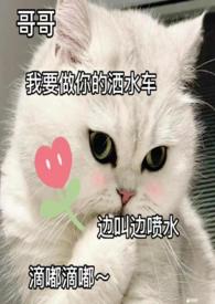 难抵钟情完结
