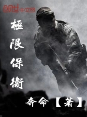 极限保卫小说最新章节